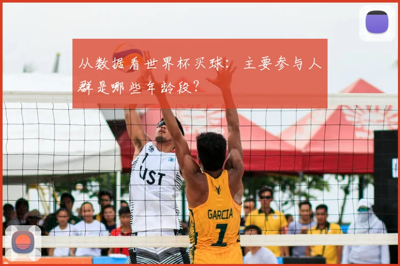 从数据看世界杯买球：主要参与人群是哪些年龄段？