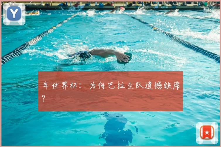 年世界杯：为何巴拉圭队遗憾缺席？