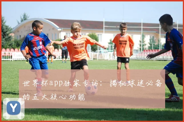 世界杯app独家专访：揭秘球迷必备的五大核心功能