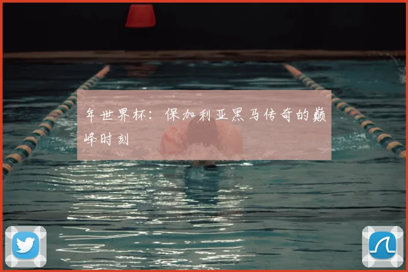 年世界杯：保加利亚黑马传奇的巅峰时刻