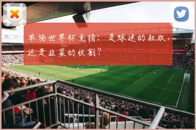 单场世界杯竞猜:是球迷的狂欢,还是韭菜的收割?