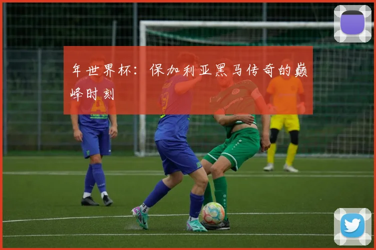年世界杯：保加利亚黑马传奇的巅峰时刻