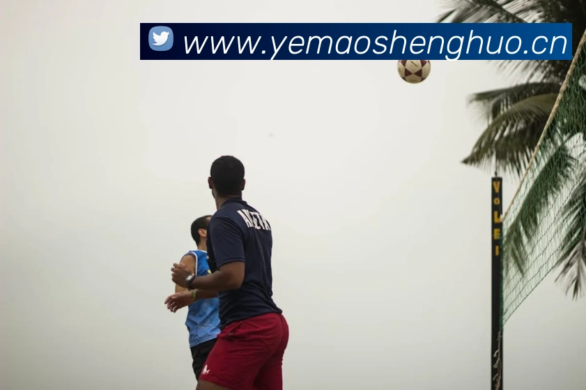 mk体育最新网站发展历程